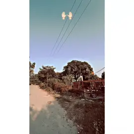 Sabar Oye💔🕊️@UMER SNAP🫰🫀 #newaccount #growmyaccount #viralvideo 