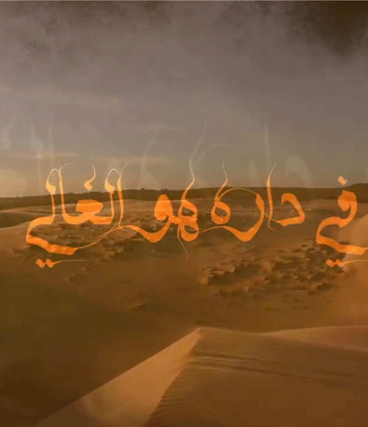 كان في داره هو الغالي، صد عني .. قل مقداره ! 