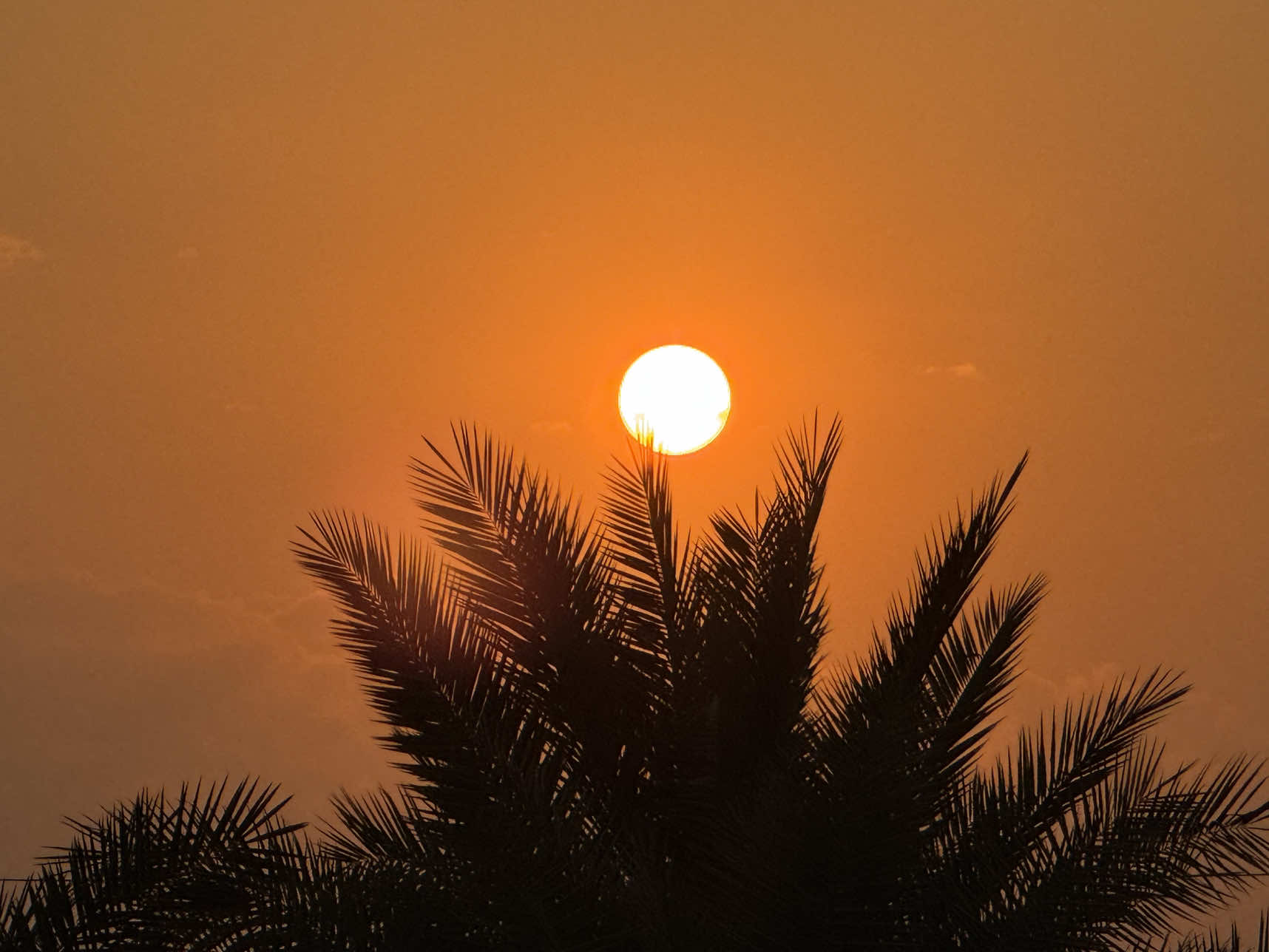 مدري المهم 💔اوديهم لبوهم مدري المهم اطفالك مدري المهم🥹#حزينہ♬🥺💔 #تصويري_احترافي_الاجواء👌🏻🕊😴 #fyp #fyppppppppppppppppppppppp #مجرد________ذووووووق🎶🎵💞 