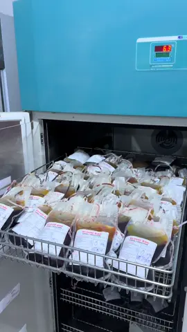 BORAMA BLOOD BANK 🩸  #tiktok #adalian #borama_awdal #creatorsearchinsights2025  @Miztaax @Abdiazizi @Abdirahman @Abdirahmaan kaahin @dr.abdihamid.kashka @Apdirahman dollar @Mukhtar bidixo 