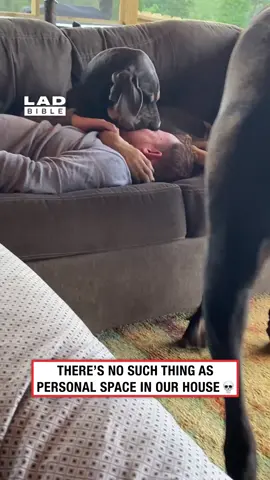 What's personal space??? 💀 (🎥: ViralHog)