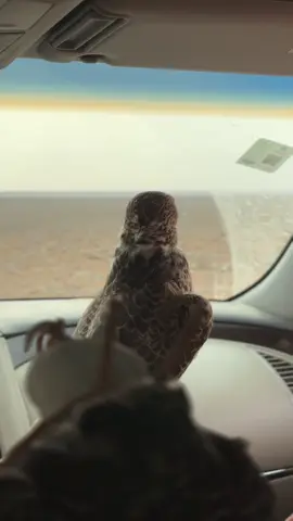 نهرً سقى اهل الارض واهل السماوات #الافلاج #Ř  #اكسبلورexplore 