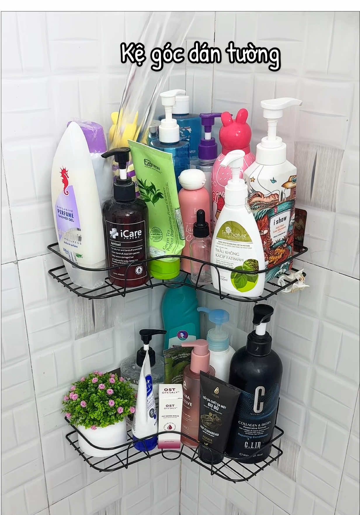 Kệ góc dán tường giúp nhà tắm sạch sẽ gọn gàng hơn #kegoctuong #kegocdantuong #kegocnhatamdantuong #kegocdantuongdanang 