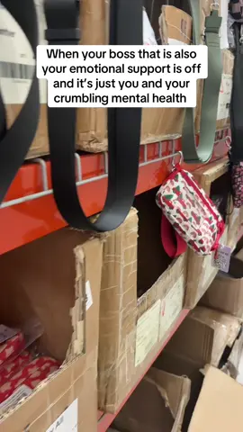 Lol #tiktokshopholidayhaul #fun #workhumor #fyp 