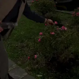 🤍💐. #i.brrr2 #viral #حب #viralvideo #اناشيد 