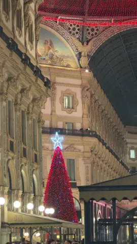 ✨ Albero in Galleria 2025 #milano #amilano #milanocity #natale #alberodinatale🎄 