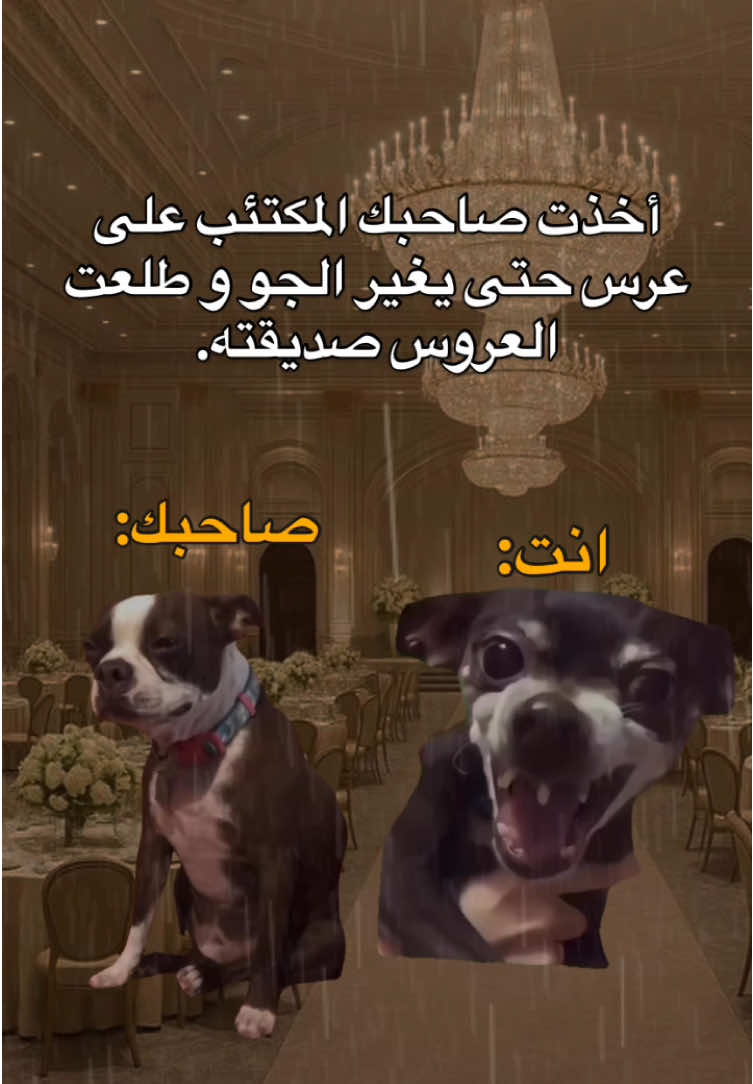 🤣💔. #fyp #viral #explore #الشعب_الصيني_ماله_حل😂😂 #مالي_خلق_احط_هاشتاقات #foryou #memes #منشن_للي_تحبه #طاقيه_طاقيها😁❤️💍 #حقيقة #ميمز_العرب 