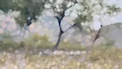 #💕😊 #FRIENDS FOREVER#foryou #khanmalik #BRAND @SK♥️ @🥀🦋lewana 🥀🦋 