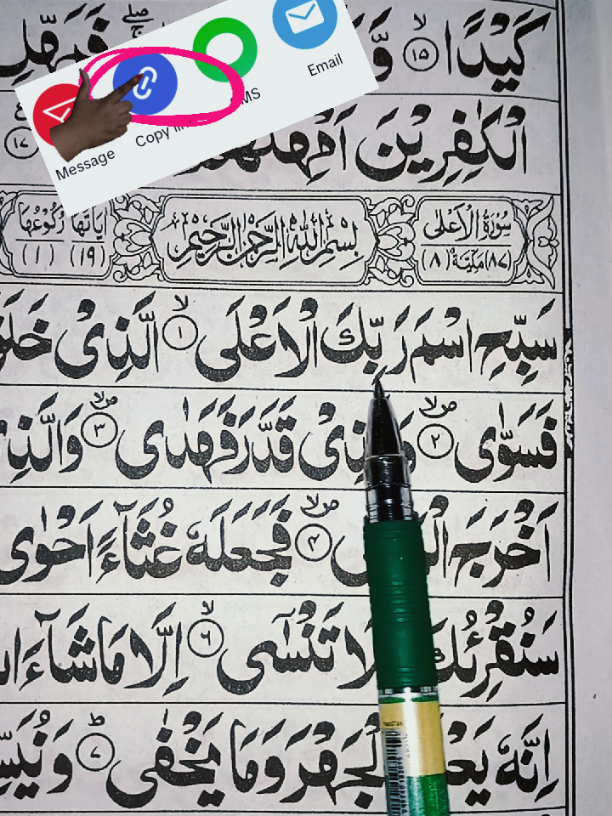 Part 481 | Beautiful Recitation Of Quran Surat Al Alha❣️🎧📖#القران_الكريم #fpyシ #quran #foryoupage❤️❤️ #unfreezemyaccount 