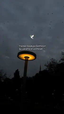 #keşfetbeniöneçıkar ##storlikvideolar📌 #keşefetedüşartık #storlikvideolar📌 