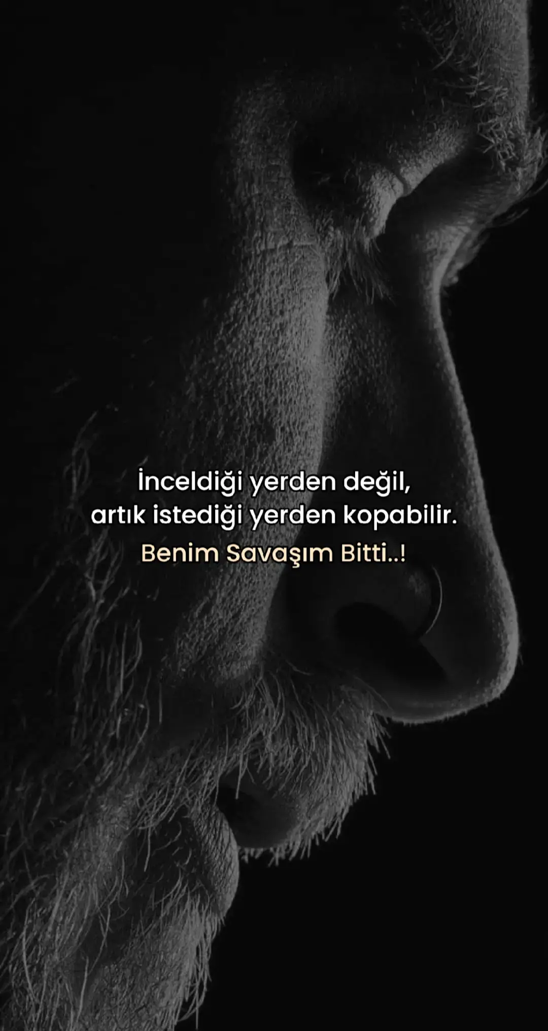 #Keşfet #Keşfetteyizzz #Keşfetbeniöneçıkar #Söz #Sözler 