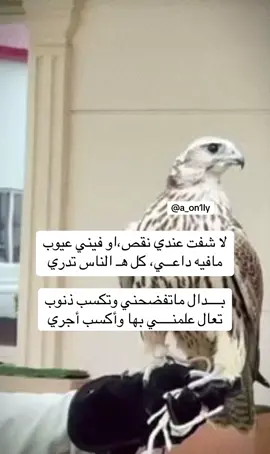 #فلسطين_أحساس_شاعر_لايك_فضلآ_وليس_أمرآ 