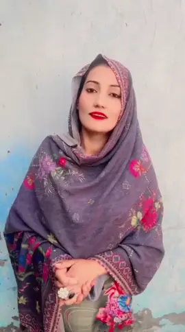 #foryou?foryou?foryou?fory#foryou?foryou?foryou?foryou @Shado Wella Official @Singar Sargis Gee سنگر نرگس جی 