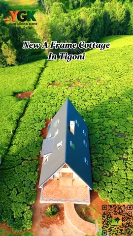 #كينيا  #tigoni 