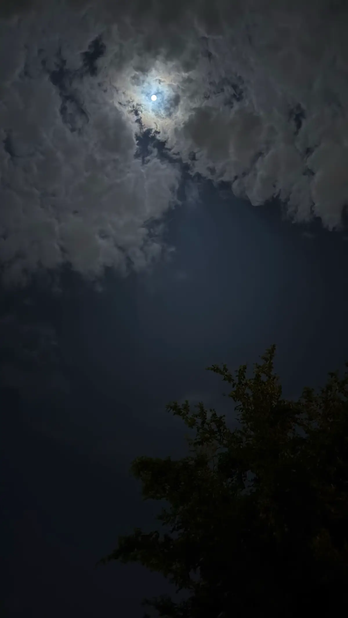 ‏قمر وليل ونسمة برّد ،  ‏ليلة من ليالي ديسمبر الهادئه❣️#حايلنا_تصويري_اكسبورا🕊🎬_الشتاء 