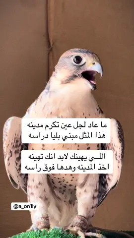 #فلسطين_أحساس_شاعر_لايك_فضلآ_وليس_أمرآ 