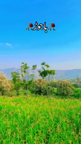 باجوڑ#باجوڑ #nautralbeautyofbajawr #foryou #foryoupage #unfrezzmyaccount 