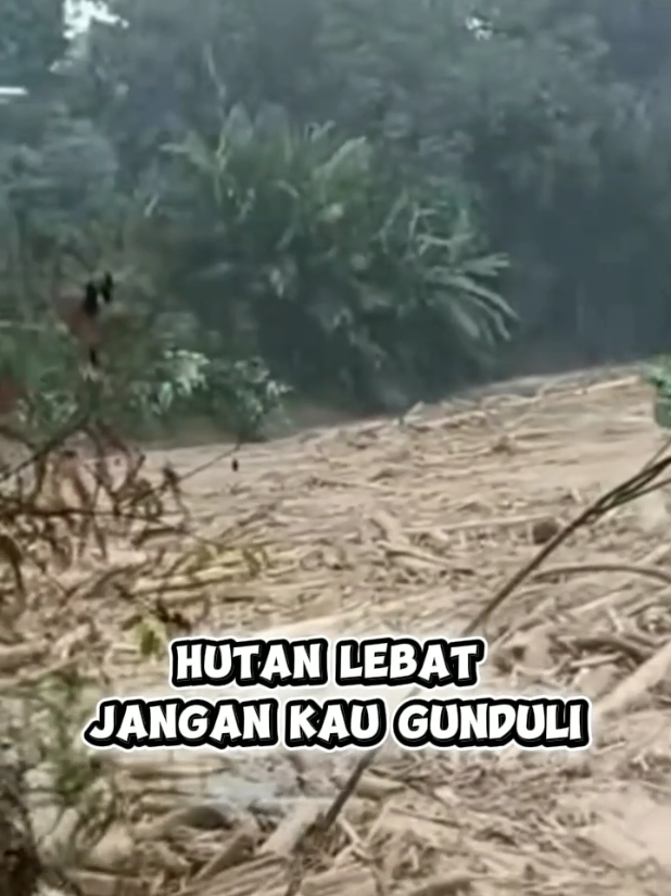 bencana sumatera. DES.2025 #bencanabanjir  #prayforsumbar #longsor 