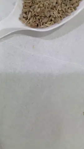 #الشعب_ا#لصيني_ماله_حل #عطارة #الجهني