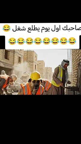 #veo3 #ذكاء_اصطناعي #الشغل_مو_عيب 