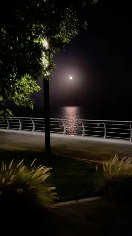 في هدوء الليل، يهمس القمر بجماله الذي لا ينطفئ، ينير دروب الأحلام برقة لا تُضاهى 🤍✨ #القمر #الخبر #كورنيش_الخبر #تصويري #محمد_عبده 