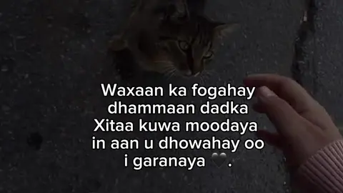 🖤#fyp#foryoupage#anna🦢 