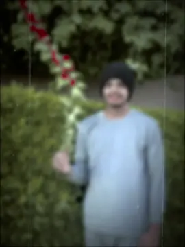 #CapCut তোমারে দেখিলে 🩸🌱🫀🪴