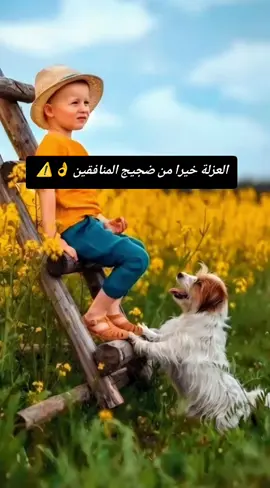 العزلة خيرا من ضجيج المنافقين  #خواطر_للعقول_الراقية #اقتباسات_عبارات_خواطر #كلام_واقعي_عن_الحياة #تيك_توك #zakidit @zaki 
