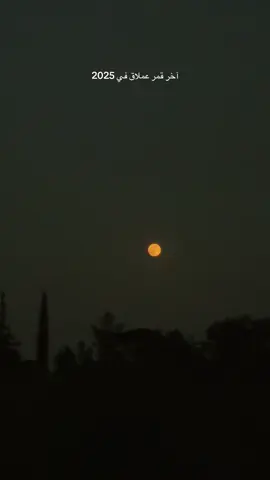 وآخر كلشي ب2025 ….        #fypシ゚ #2025 