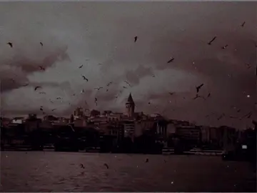 هي الدنيا ورب البيت تفنى 😞💔🤚🏻 .  .  .  .  .  .  .  .  .  .  .  . #هي_الدنيا_ورب_البيت_تفنى #اكسبلور #الشعب_الصيني_ماله_حل😂😂 #you #fypシ @فـــــ𝑨⍣⃟ـــلَأنۗـه 𓆩❤️‍🩹𓆪 