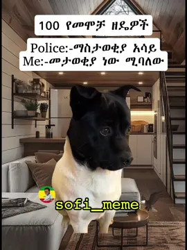 😂100% yeseral mokrut #ethiomeme #ethiopianmeme  #sofi_meme #viral 