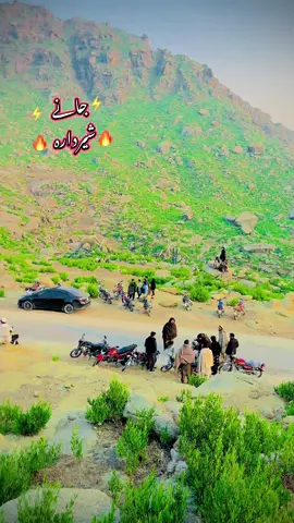 #foryoupageofficiall❤️❤️tiktok #peshtosong💃💃 #sherdara💗✌🏻✌🏻 