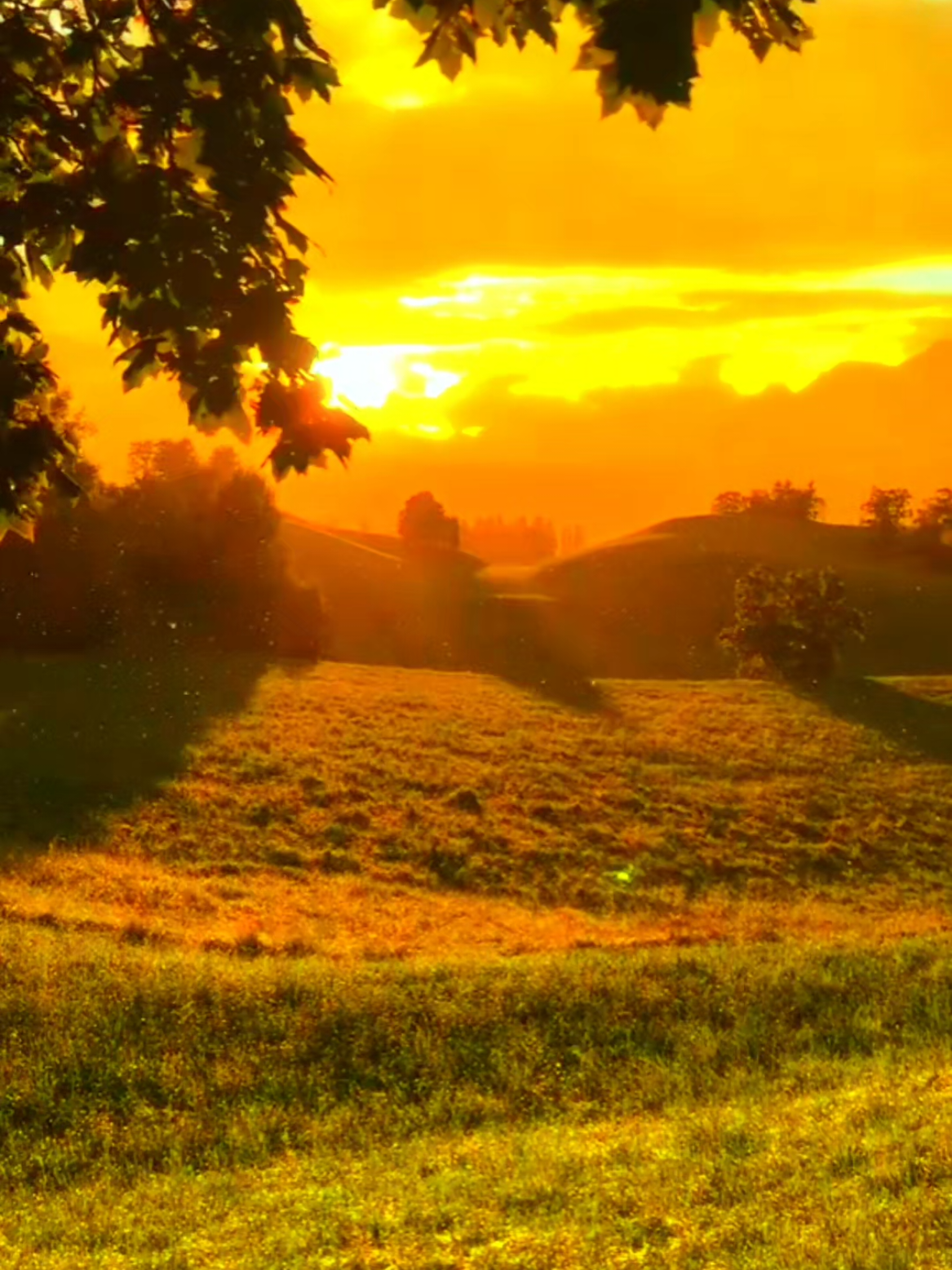 তওবা ইয়া আল্লাহ #viral #f 