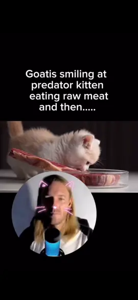 #goatis @Sv3rige / Goatis #sv3rige #fyp#niche #funny 