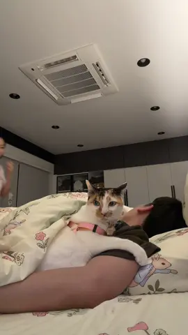 เหลือเชื่อเลย…555+#แก้มบุ๋มปรียาดา #แก้มบุ๋ม #แก้มบุ๋มพีท 