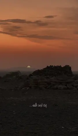 #المغامسي_صالح_المغامسي 