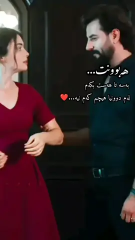 کێ شایانی ئەمەیە بۆی بنێری..🤍🩷 #گۆرانی_خۆش_لێرە_ببینە🌹 #foryou #salarkurdish #naserrazazi #ناسر_رەزازى 