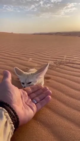 #الشعب_الصيني_ماله_حل😂😂 #سبايستون @Spacetoon ✅ 