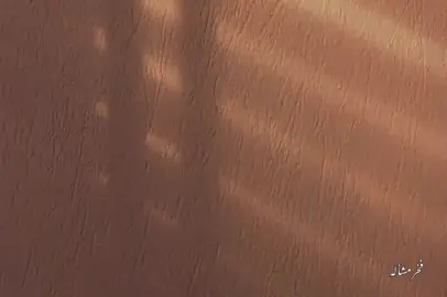 رجعلي قليبي ليس الا 😞✋🏻 #من_فن_الحضارم_با_نغني_دان #fyp #اكسبلور #تصميم_فخر_مشاله 