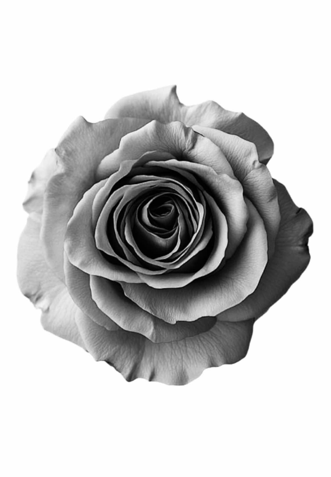 he’s loving my look😜 #lanadelrey #lyricsvideo #foryou #fyp #tipografia 