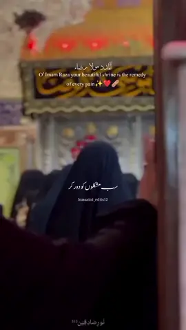 Al madad Mola Raza ع ❤️‍🩹 #explore #foryou #followback #viral_video #trendingvideo 