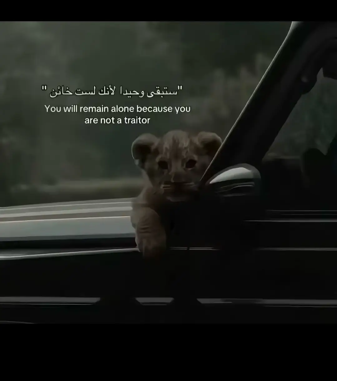 ومازلت بعدني بطل ☠️🙁#شعب_الصيني_ماله_حل😂😂 