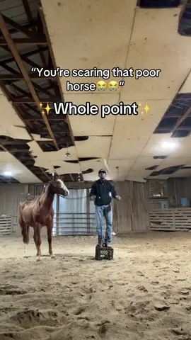 Haha it’s almost like I’m trying to work it out of him #fypシ #horses 