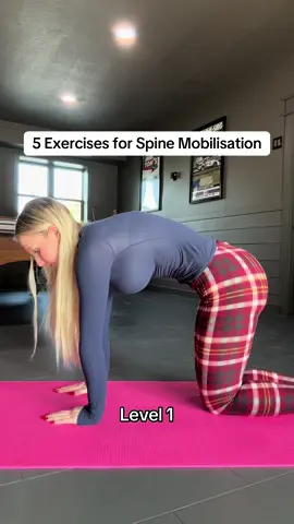 Doing these stretches are game changers for boosting spine mobility! Keep leveling up and your results will speak for themselves!🧘🏼‍♀️ #spinehealth #dailyyoga #mobility #fyp 