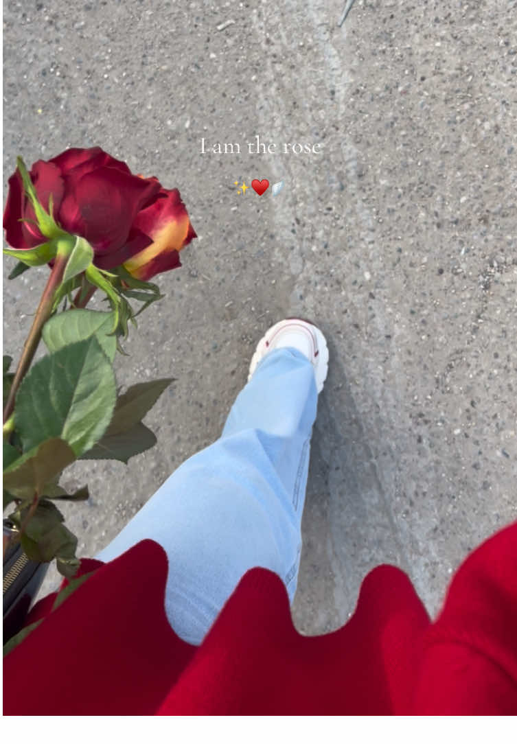 ♥️🦢٫٫ #fypシ゚ #rally #explore #music #like 