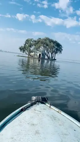 #fyppppppppppppppppppppppp #بحيره #البرلس #جزيره #الشخلوبه  