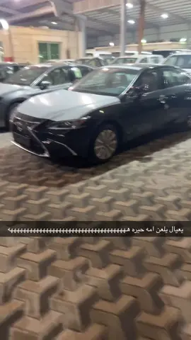 #يعيال ماشاءالله #التورس_مركب_ظباط 