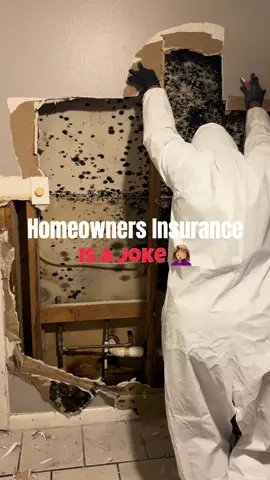 Homeowners Insurance Don’t Cover Mold Damage! #moldremoval #handywoman #cleaninghacks #diyhome #DIY 
