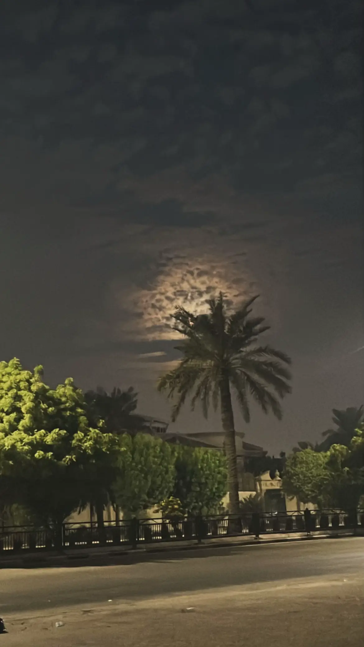 ‏قمر وليل ونسمة برّد  ‏ليلة من ليالي ديسمبر الهادئه❣️.