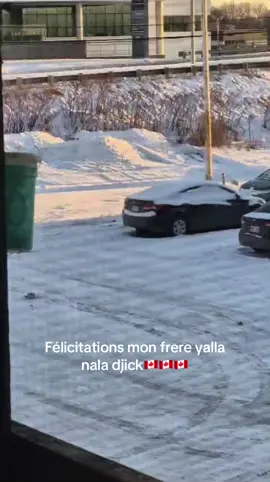 🇨🇦🇨🇦🇨🇦